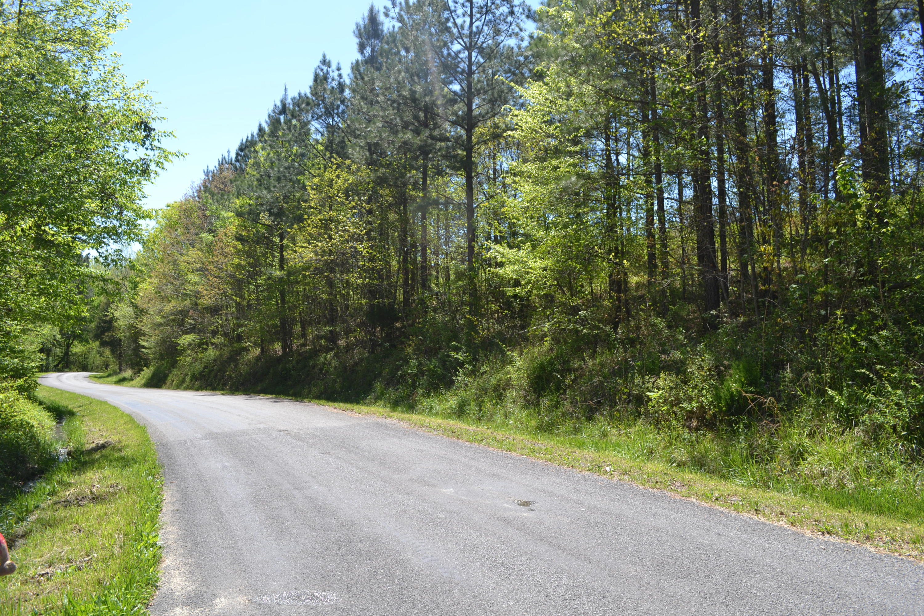 Ten Mile Tn 37880 Road Decatur, TN 37322 - Photo 8 of 8 Hon 224 ac_1933Hon 224 ac