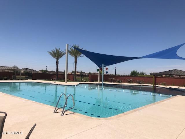 4156 East Cynthia Street Gilbert, AZ 85295 - Photo 16 of 25 Cooley Station Community Pool b