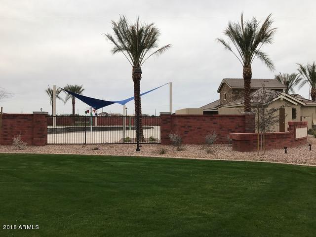 4156 East Cynthia Street Gilbert, AZ 85295 - Photo 5 of 25 Cooley Station Play Area 2