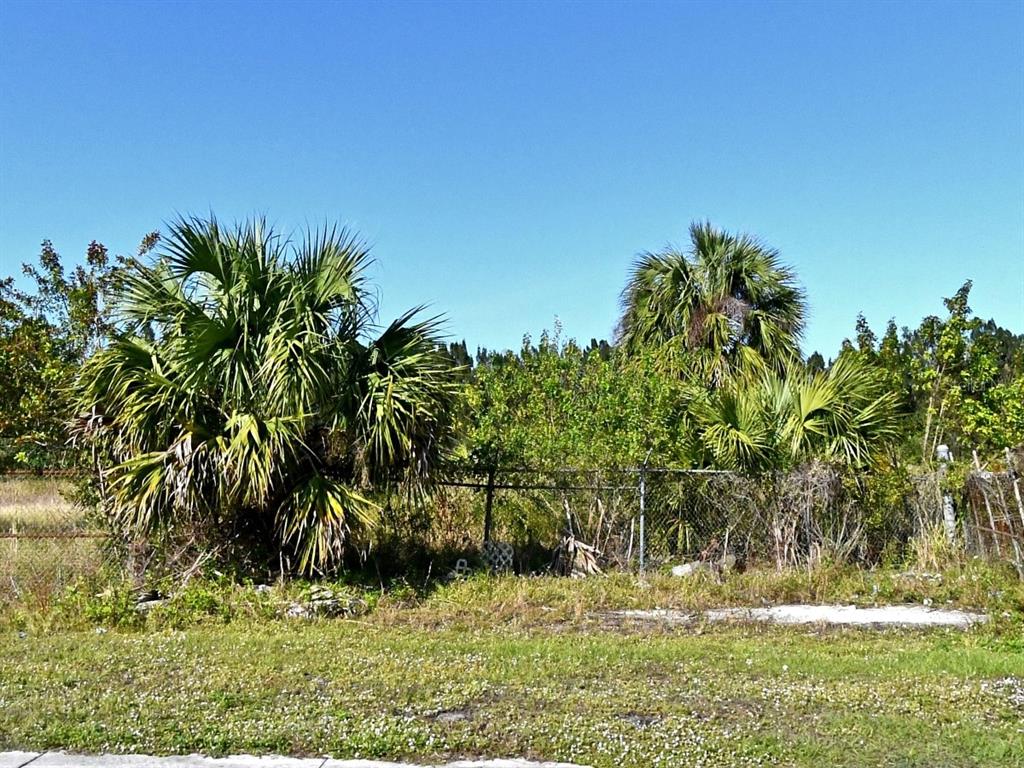 3214 Ave D Fort Pierce, FL 34947 - Photo 2 of 4 a view of a yard