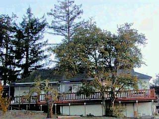 1291 Burnside Road Sebastopol, CA 95472 - Photo 1 of 1 a view of a patio with couches and table and chairs
