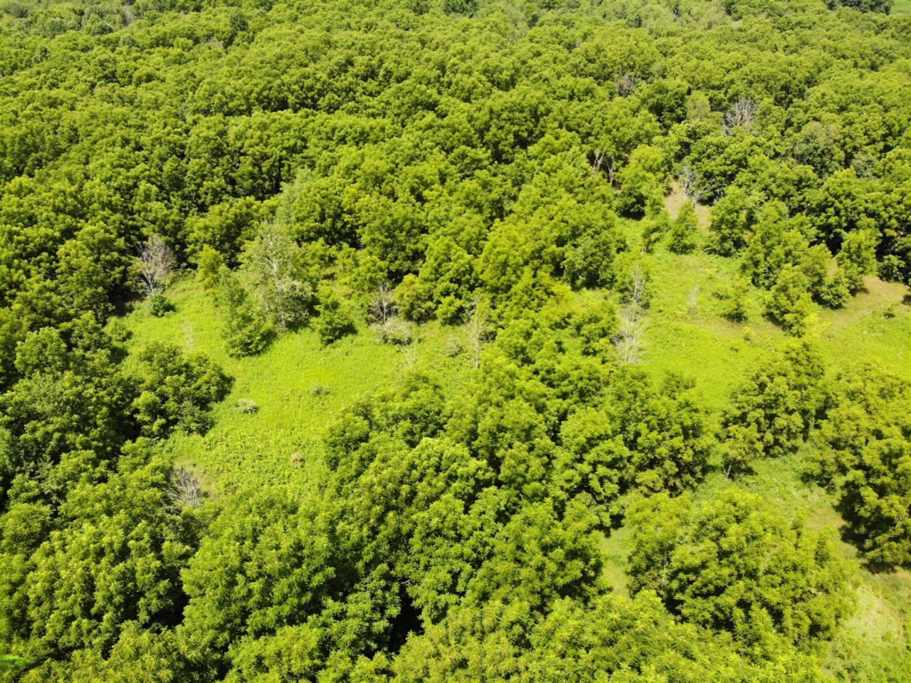 Decatur Road Dowagiac, MI 49047 - Photo 9 of 15