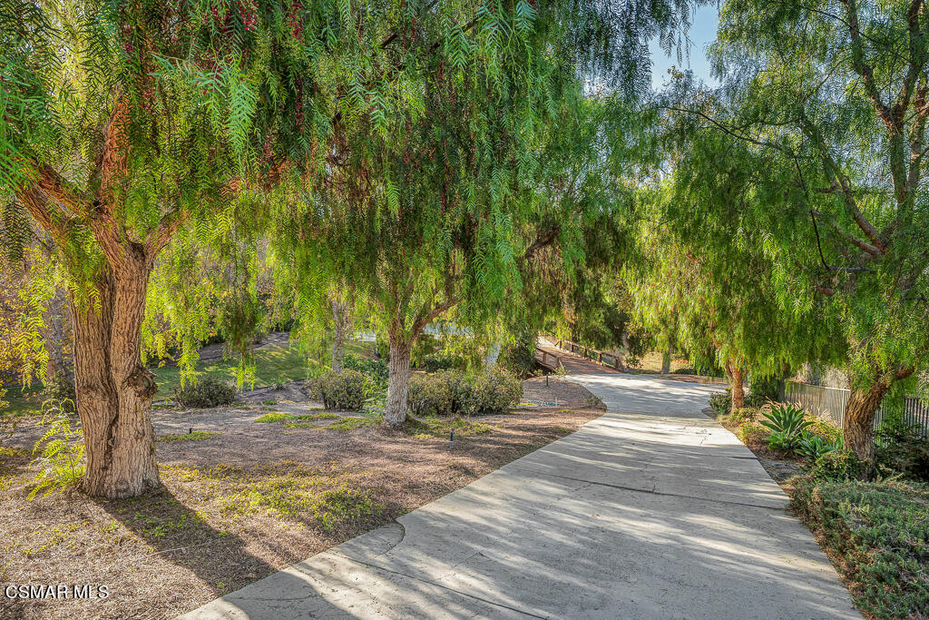 11780 Barranca Road Camarillo, CA 93012 - Photo 13 of 26 a view of a yard with plants and trees