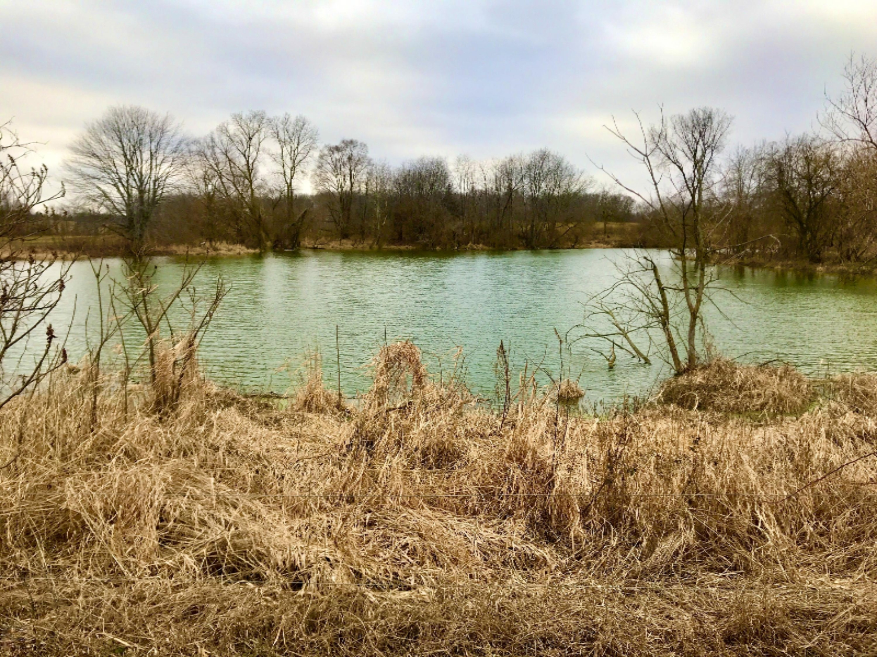 7353 Lincoln Road Jackson, MI 49201 - Photo 4 of 15 8