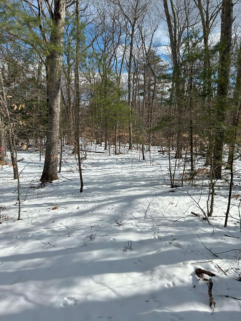 0 Shaker Road Canterbury, NH 03224 - Photo 2 of 6