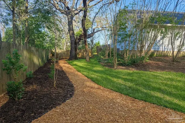 a view of a tree in the middle of a yard