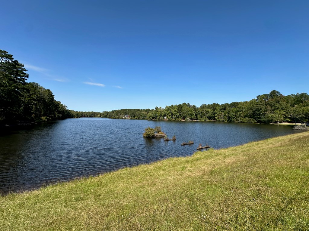 13952 Cross Creek Road Upatoi, GA 31829 - Photo 77 of 79 Community 18 acre Lake