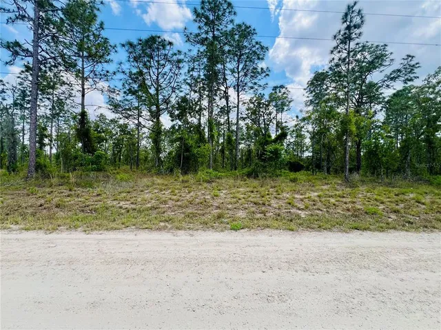 a view of outdoor space and yard