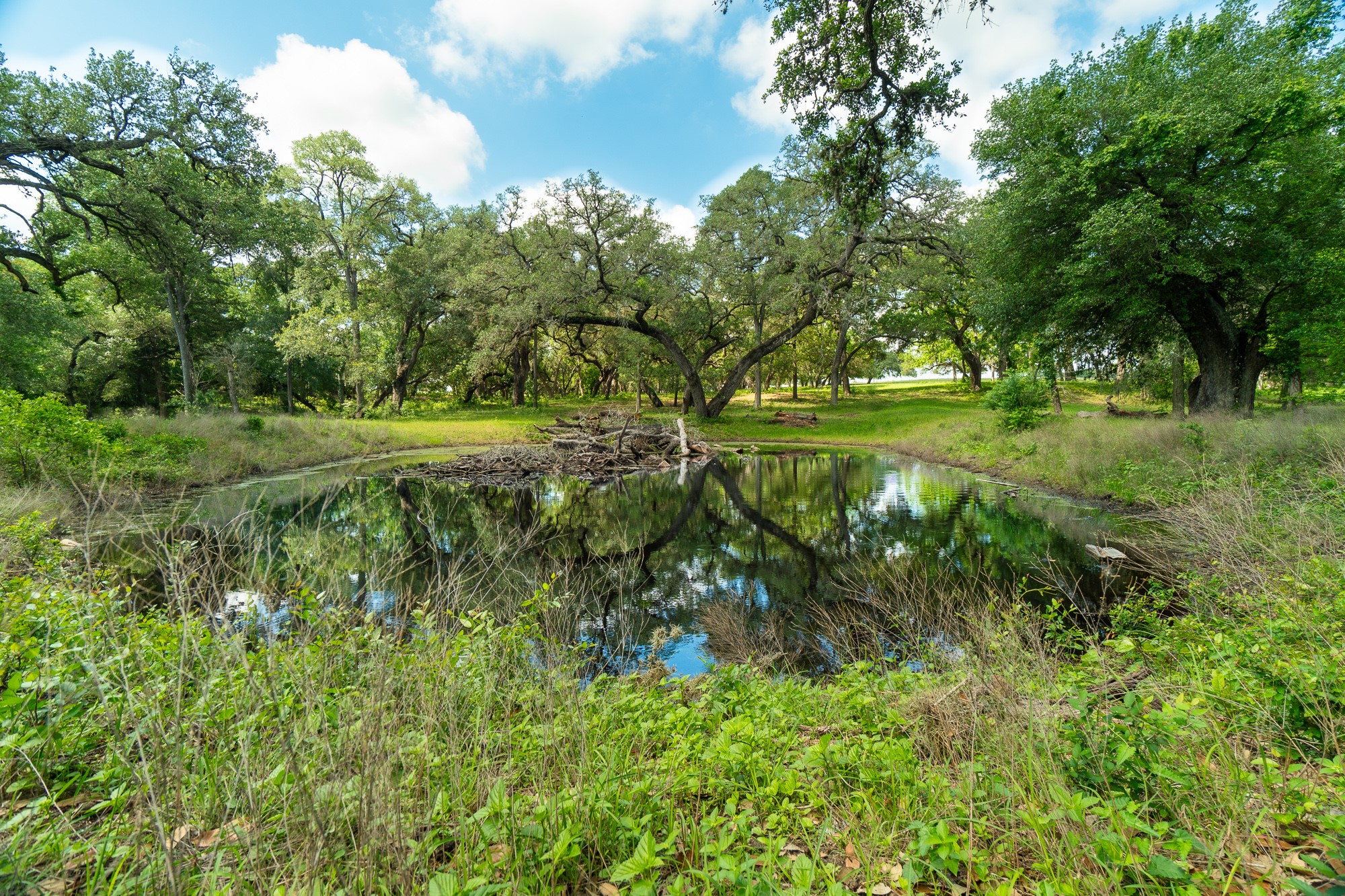 5018 Wolters Road Schulenburg, TX 78956 - Photo 28 of 39 a view of a trees with a yard