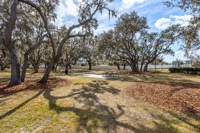 $381,000 | 12619 Hammock Park Drive, Riverview, FL 33579