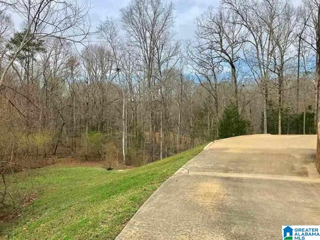 630 Creek Ridge Drive Riverside, AL 35135 - Photo 5 of 29 Gallery Image 5