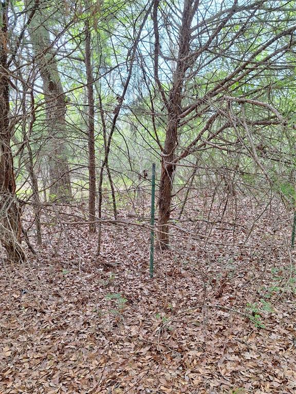 3371 Fm-3371 Path Groesbeck, TX 76642 - Photo 15 of 19 a view of a yard with lots of green space