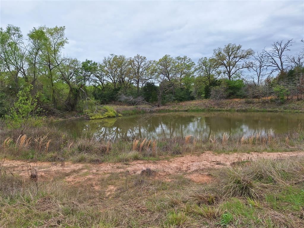 3371 Fm-3371 Path Groesbeck, TX 76642 - Photo 6 of 19 a view of a lake with a yard and trees