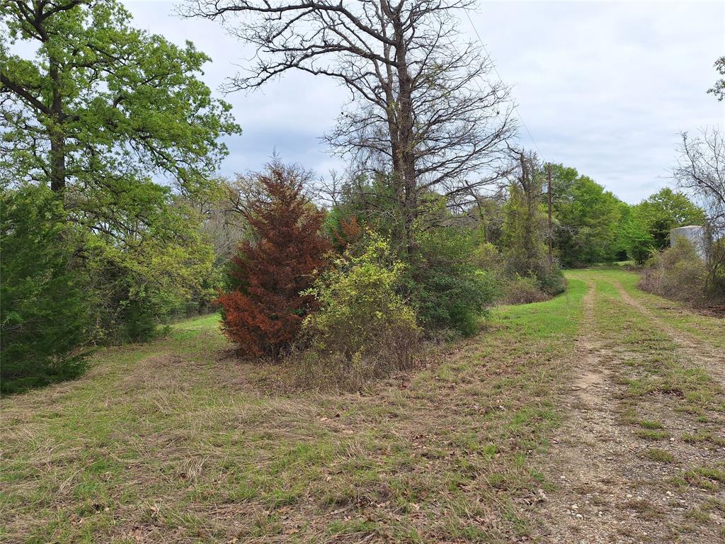 3371 Fm-3371 Path Groesbeck, TX 76642 - Photo 10 of 19 a big yard with lots of green space