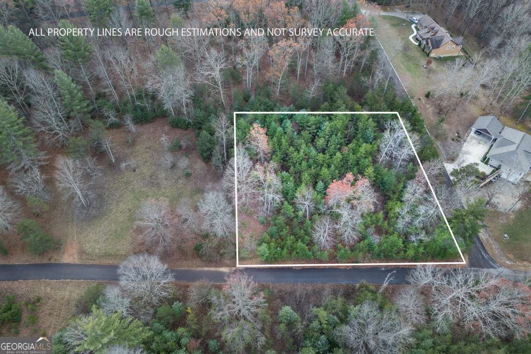 Lot 8 & W Ranch Road, Unit LOT 8 Blairsville, GA 30512 - Photo 1 of 1 Gallery Image 1