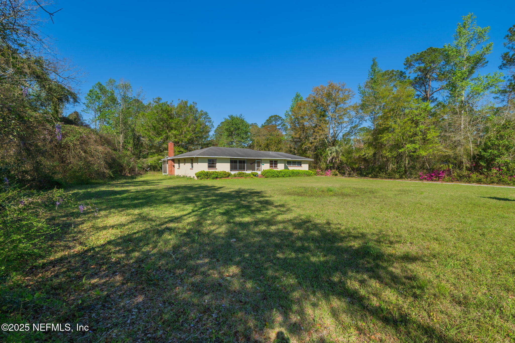 17896 Highway 16 Starke, FL 32091 - Photo 44 of 57 a view of a trees with a big yard