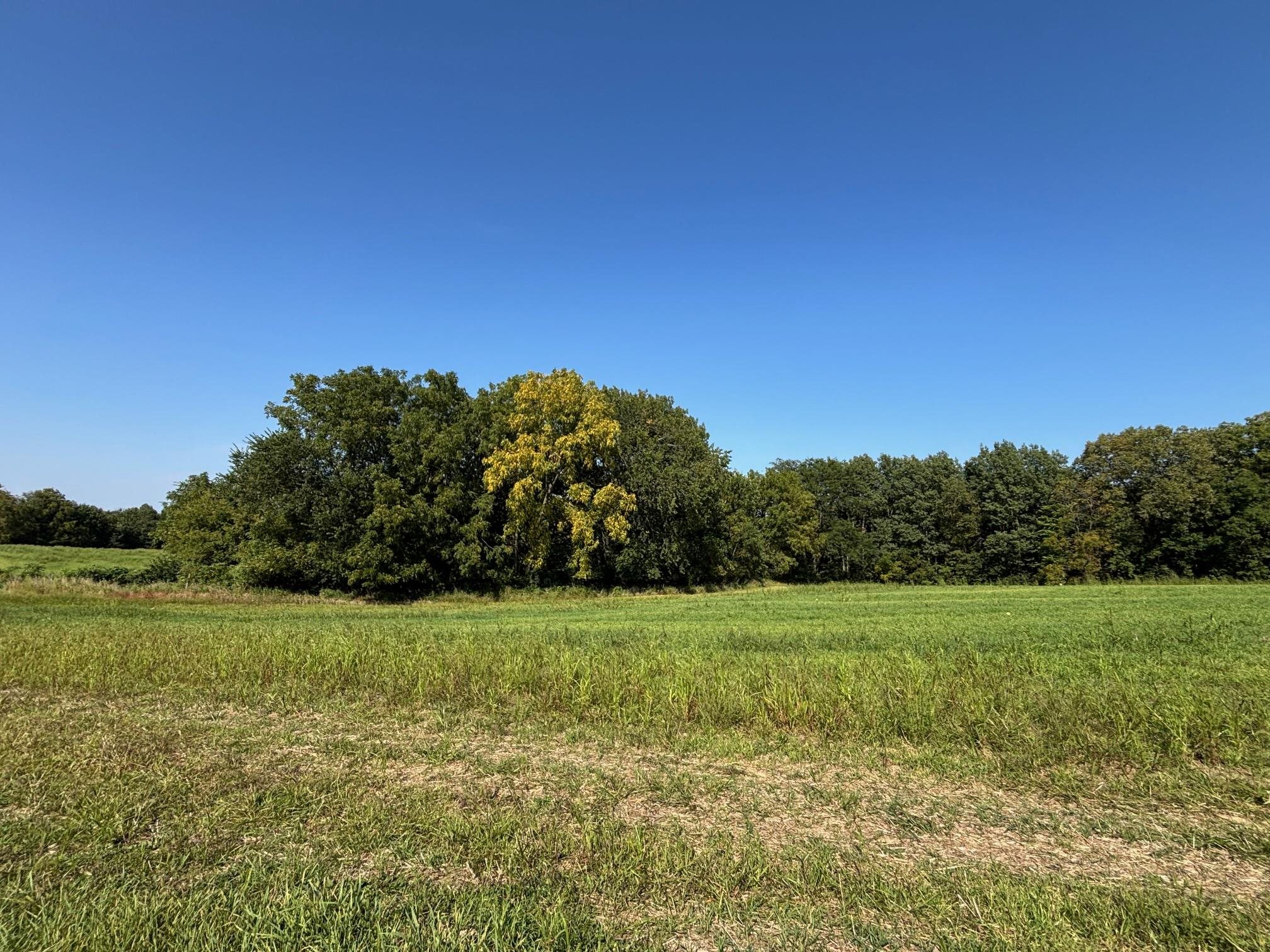 Koecke Lane Bagley, WI 53801 - Photo 15 of 62