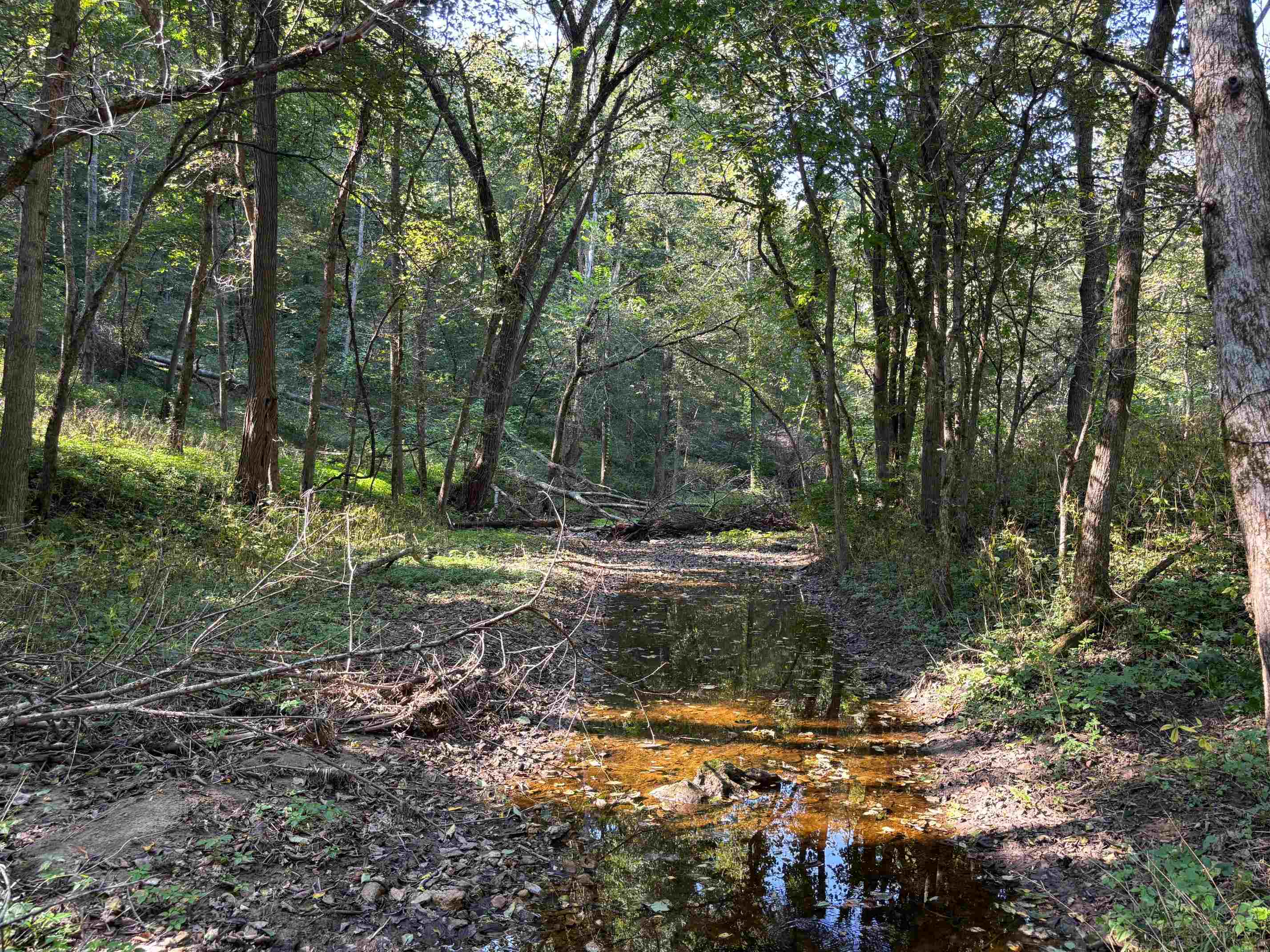 Koecke Lane Bagley, WI 53801 - Photo 26 of 62