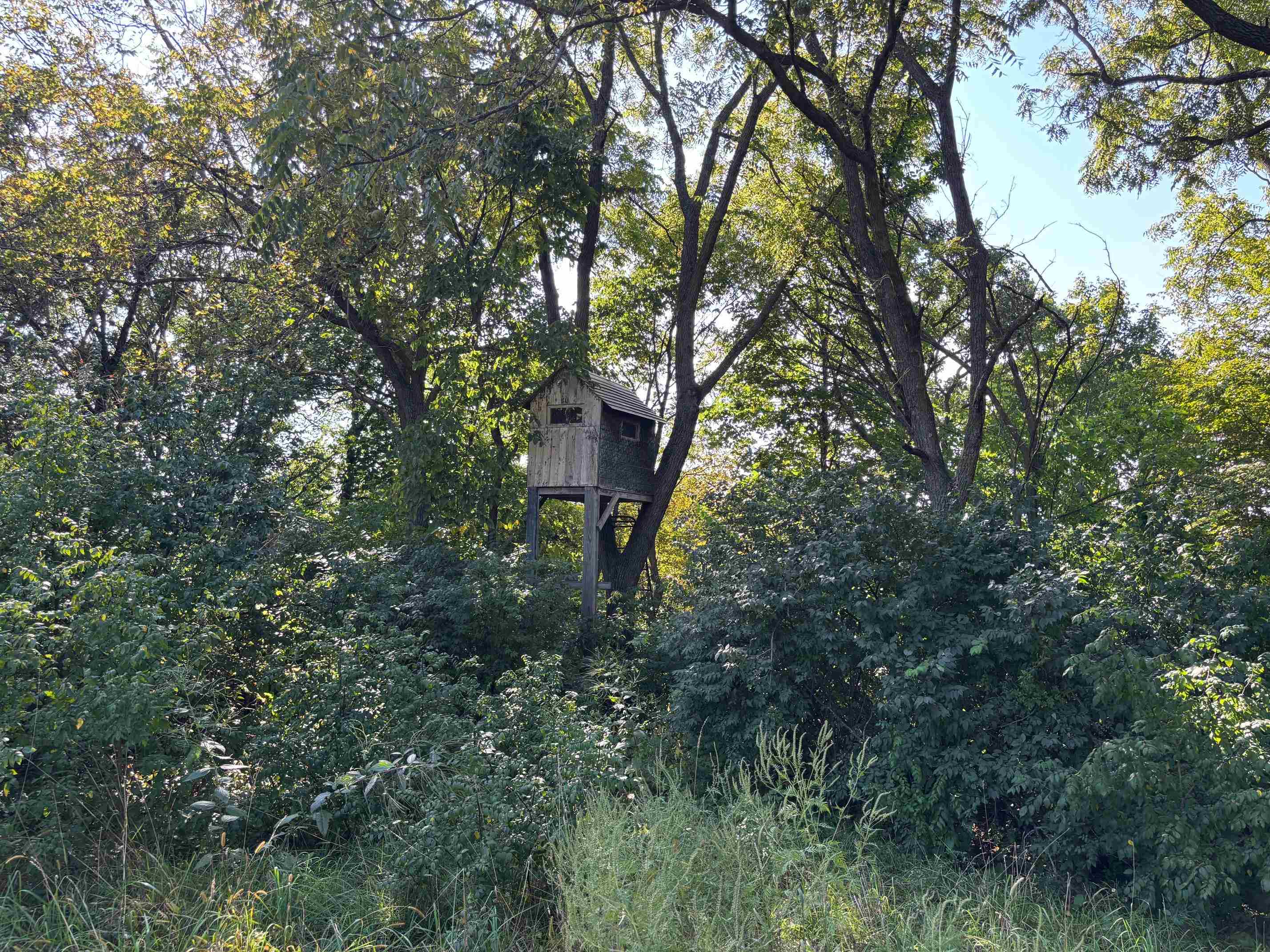 Koecke Lane Bagley, WI 53801 - Photo 32 of 62