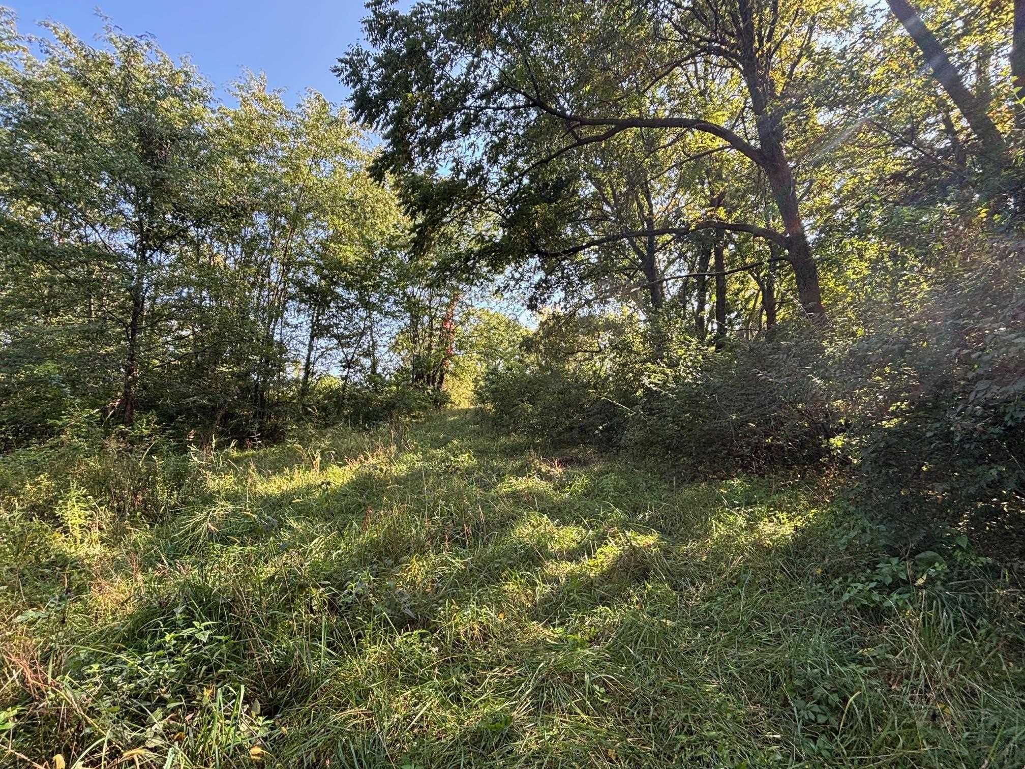 Koecke Lane Bagley, WI 53801 - Photo 33 of 62