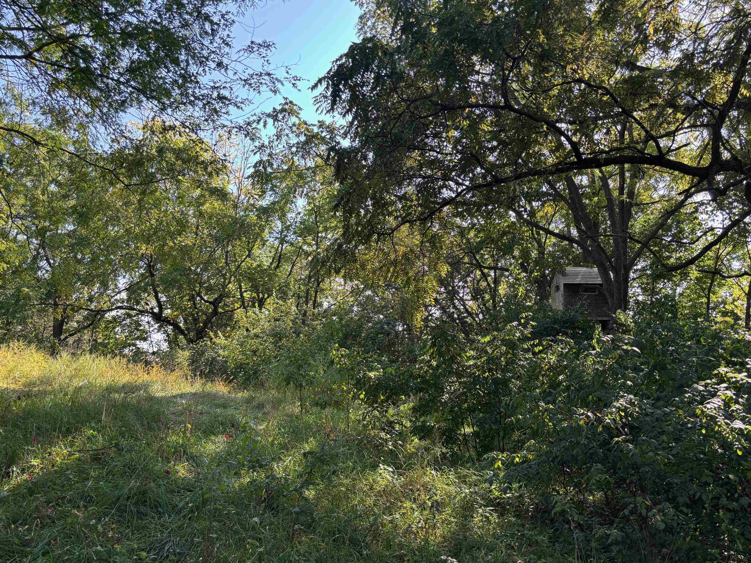 Koecke Lane Bagley, WI 53801 - Photo 34 of 62