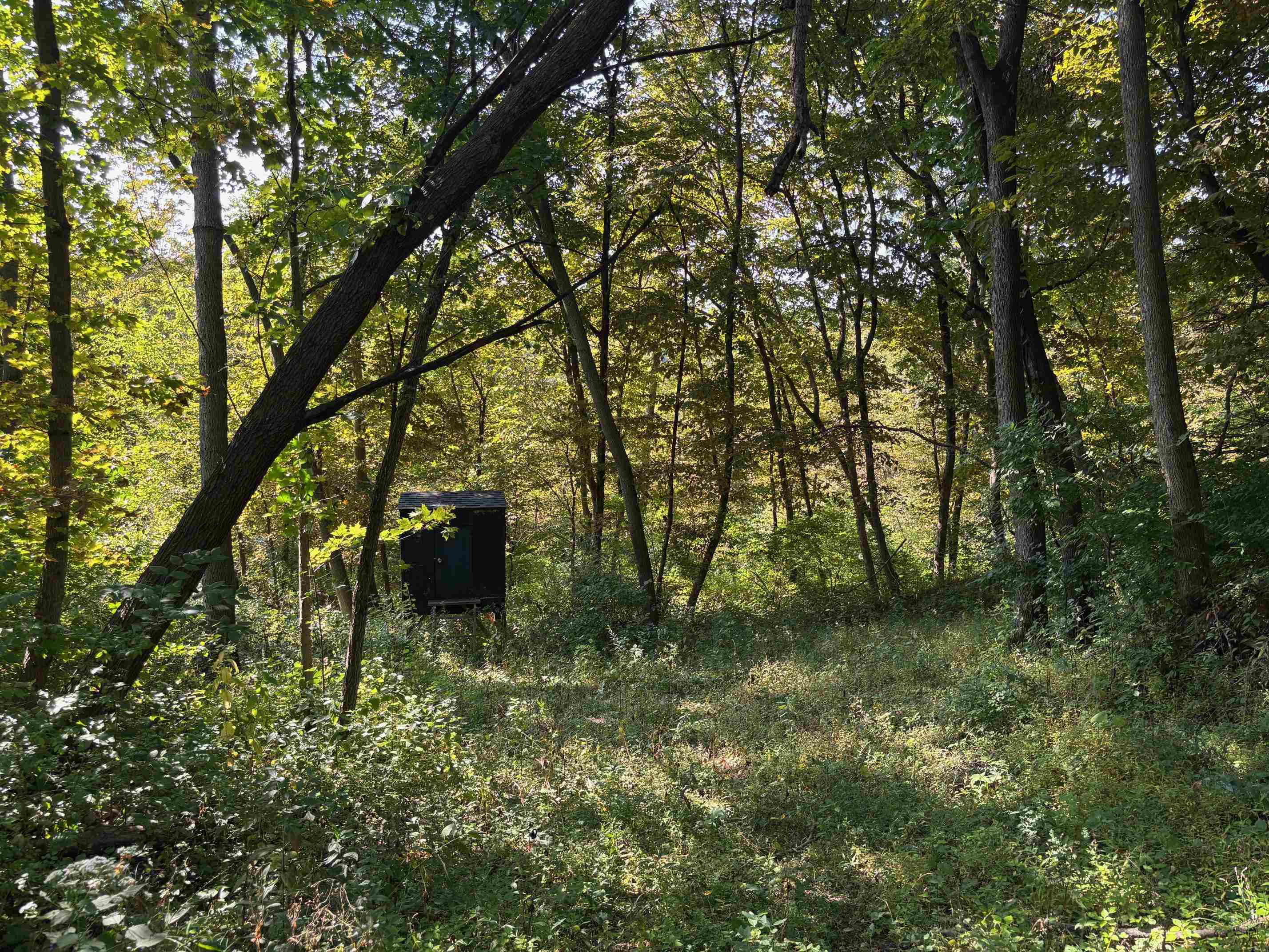 Koecke Lane Bagley, WI 53801 - Photo 36 of 62