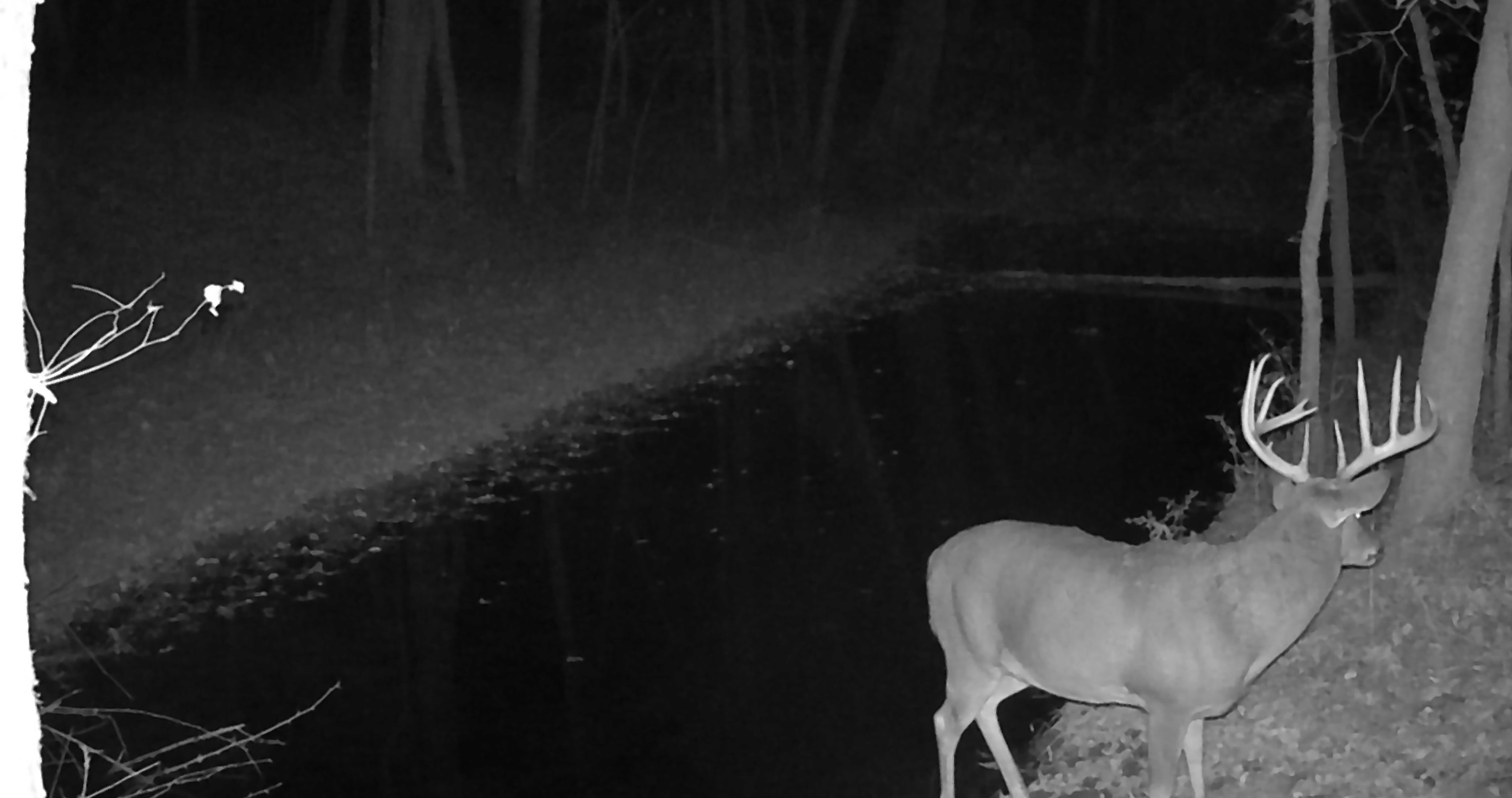 Koecke Lane Bagley, WI 53801 - Photo 4 of 62