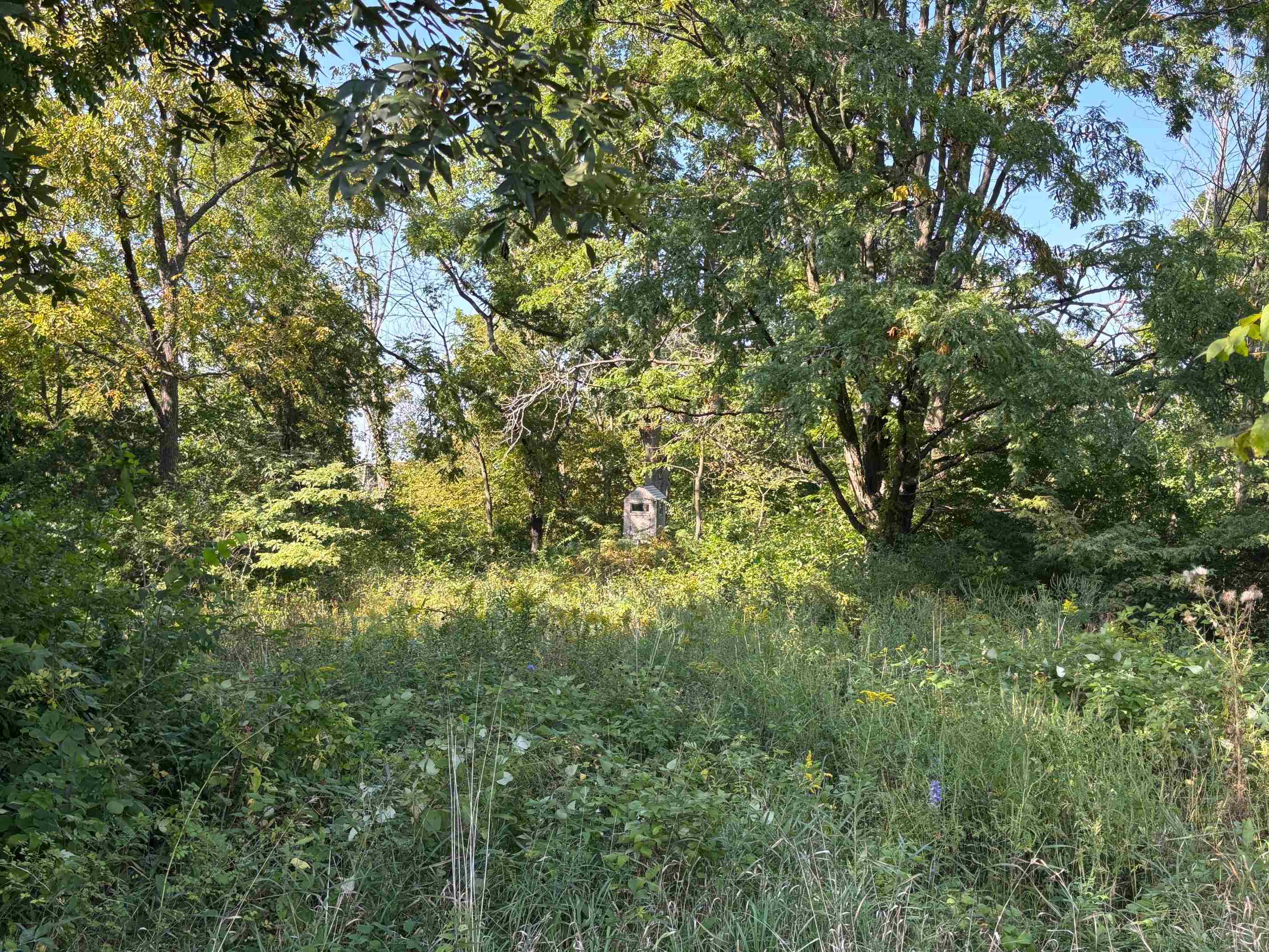 Koecke Lane Bagley, WI 53801 - Photo 41 of 62