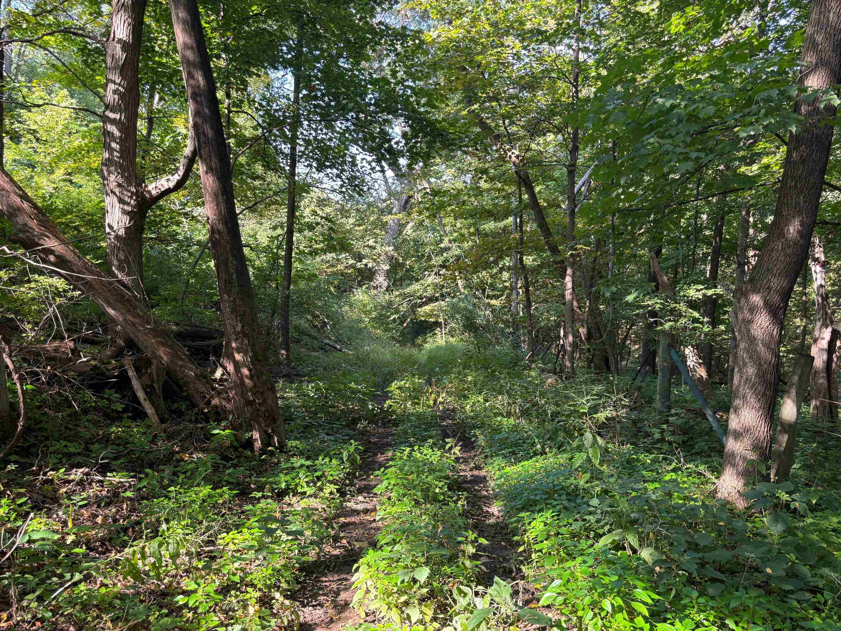 Koecke Lane Bagley, WI 53801 - Photo 42 of 62