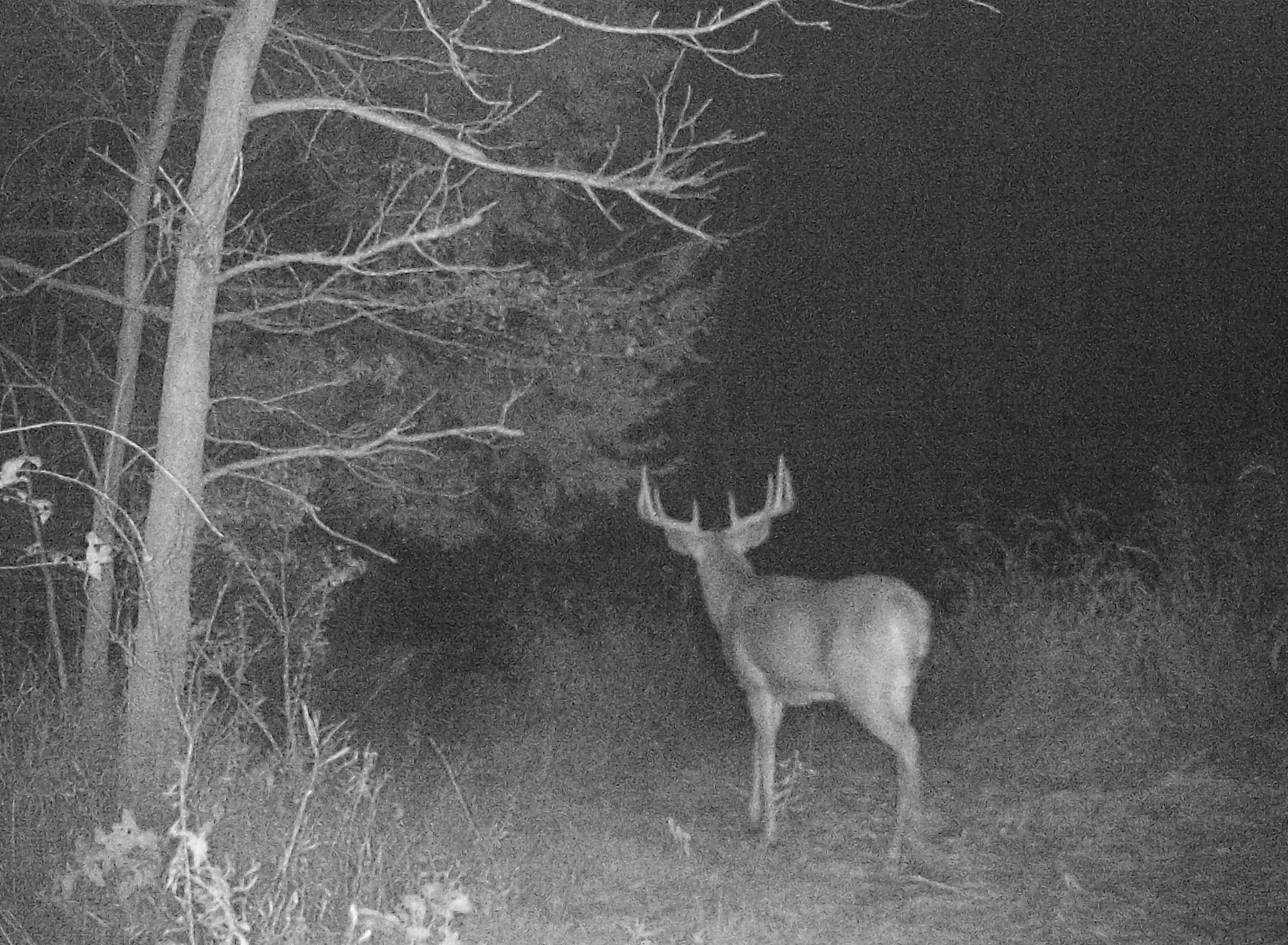 Koecke Lane Bagley, WI 53801 - Photo 43 of 62