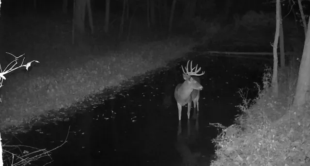 $1,775,000 | Koecke Lane, Bagley, WI 53801