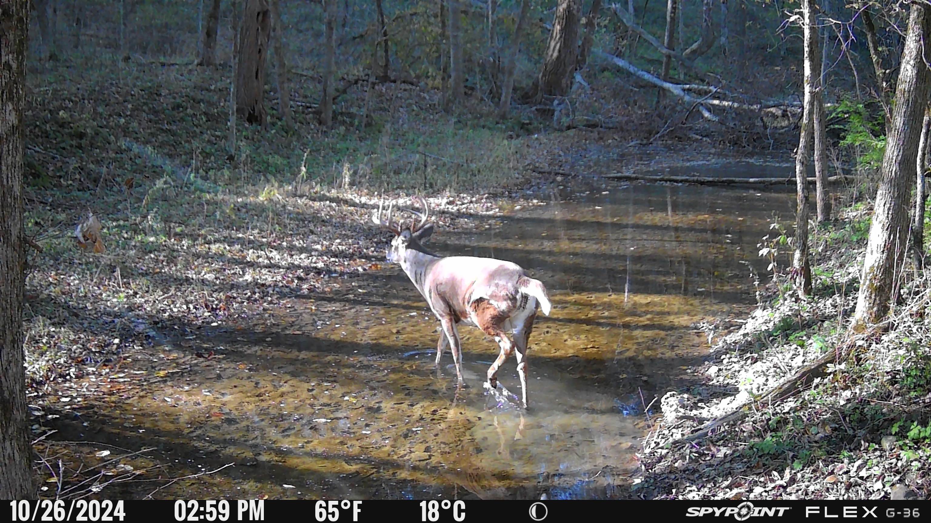 Koecke Lane Bagley, WI 53801 - Photo 47 of 62