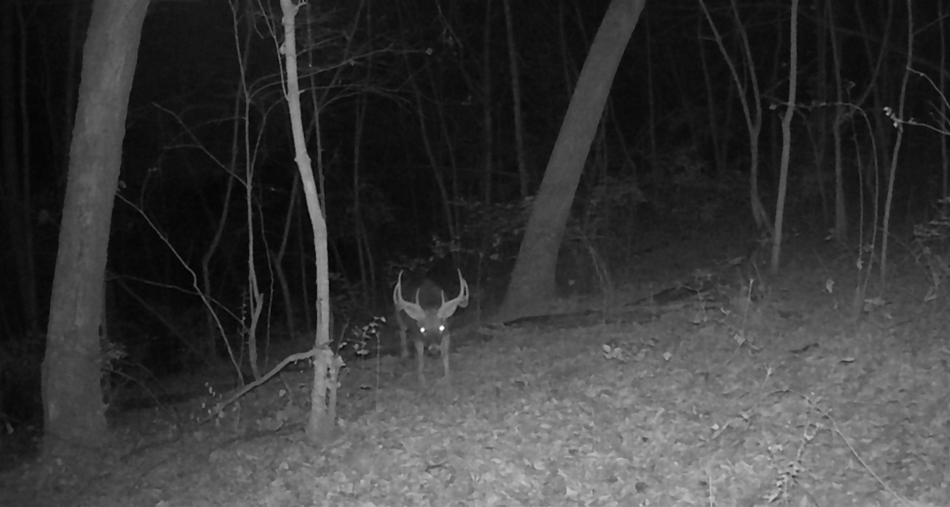 Koecke Lane Bagley, WI 53801 - Photo 49 of 62