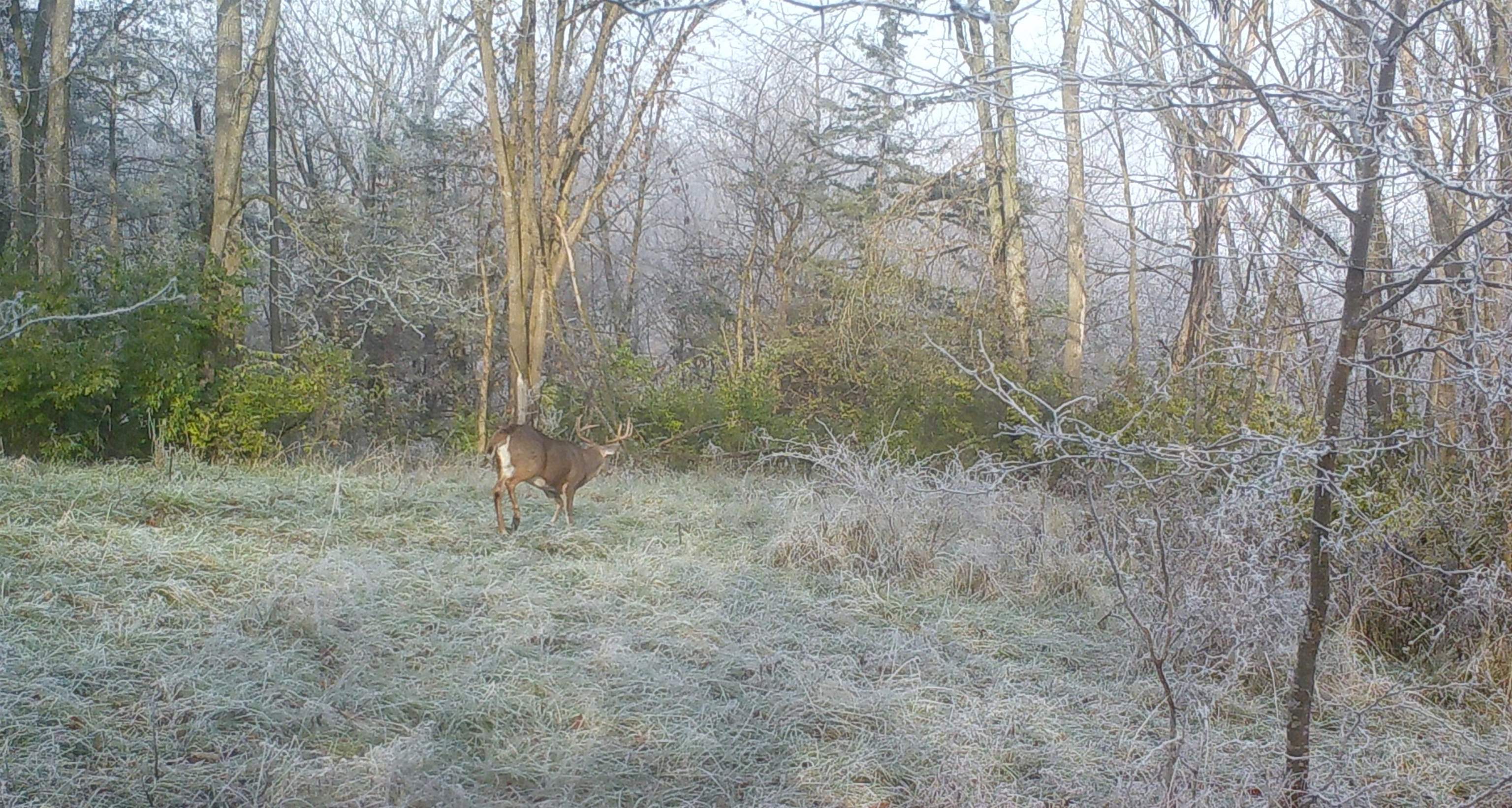 Koecke Lane Bagley, WI 53801 - Photo 50 of 62