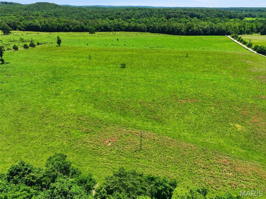 0 Pleasant Hill Road Mountain Grove, MO 65711 - Photo 13 of 51