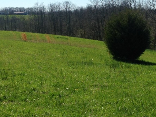 145 Chippewa Drive Dry Ridge, KY 41035 - Photo 4 of 22 Gallery Image 4