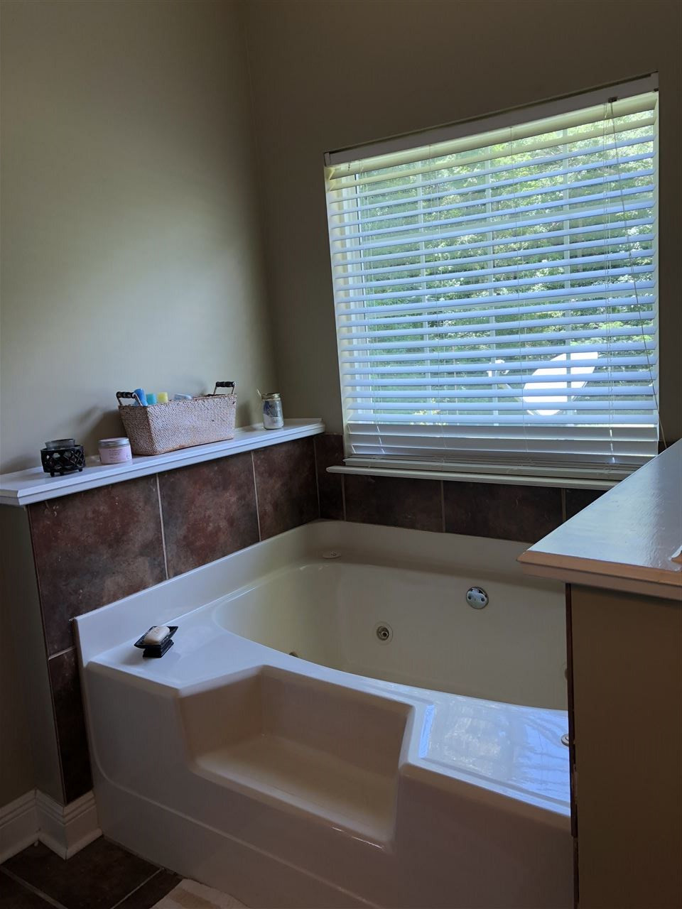 172 Newsome Road Mendenhall, MS 39114 - Photo 22 of 27 Jetted Tub