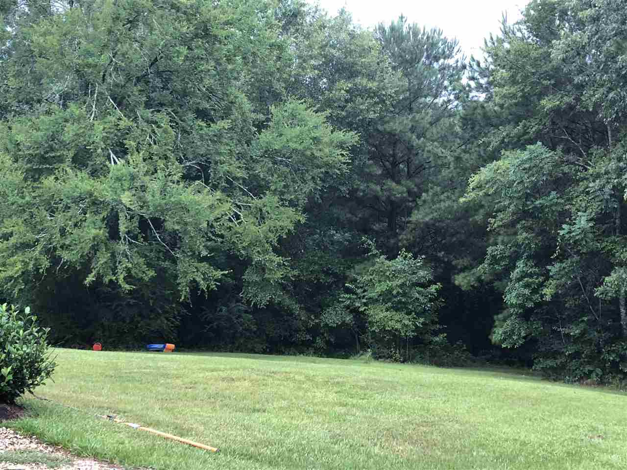 172 Newsome Road Mendenhall, MS 39114 - Photo 3 of 27 Photo 3