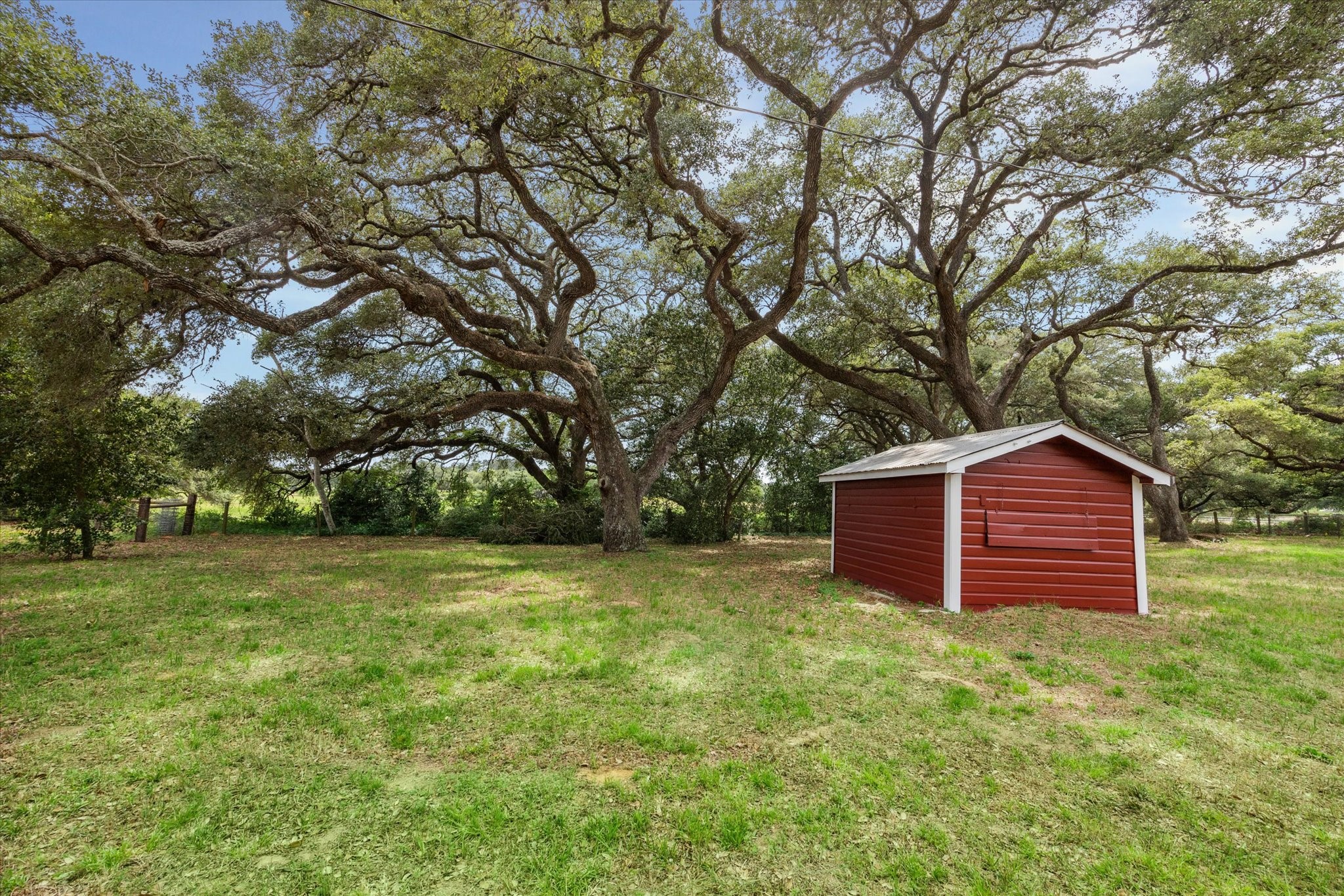 3834 Farm To Market Road 949 Cat Spring, TX 78933 - Photo 44 of 50 a view of a backyard with large trees