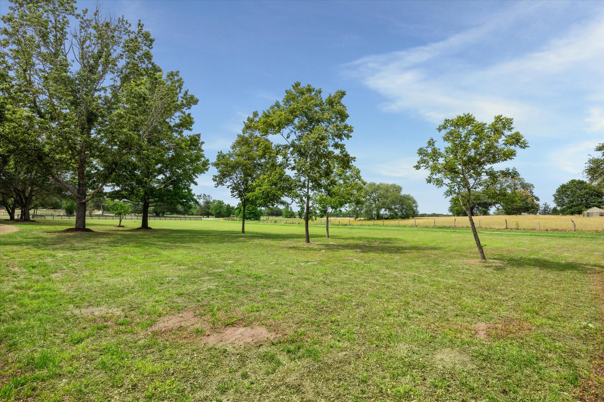 3834 Farm To Market Road 949 Cat Spring, TX 78933 - Photo 45 of 50 a view of a trees with a big yard