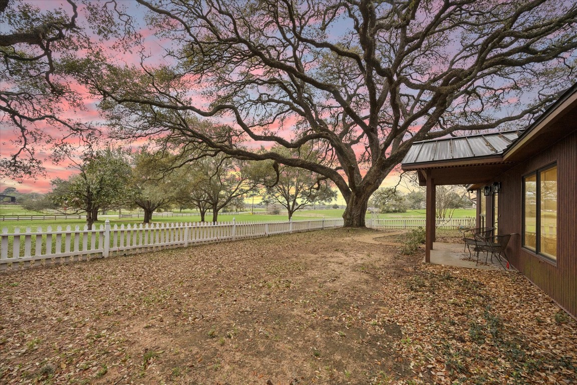 3834 Farm To Market Road 949 Cat Spring, TX 78933 - Photo 7 of 50 a view of a house with a large tree and a big yard