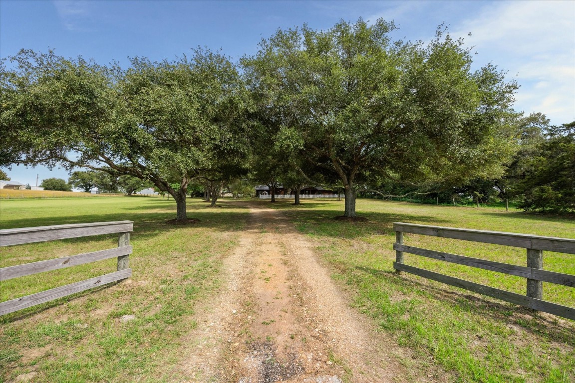 3834 Farm To Market Road 949 Cat Spring, TX 78933 - Photo 8 of 50 a view of yard with swimming pool and trees