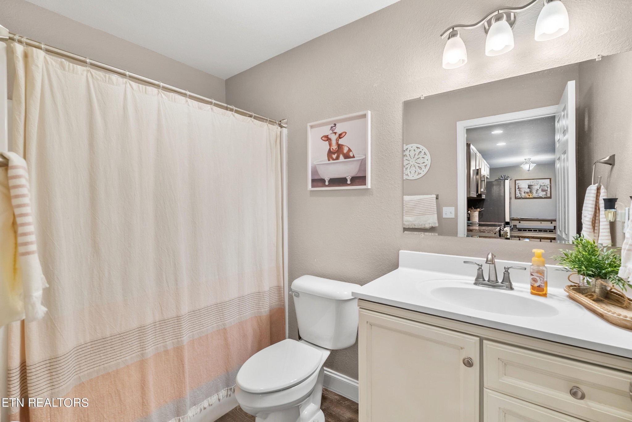 314 Two View Road Sevierville, TN 37863 - Photo 23 of 31 a bathroom with a sink a toilet a mirror and shower curtain