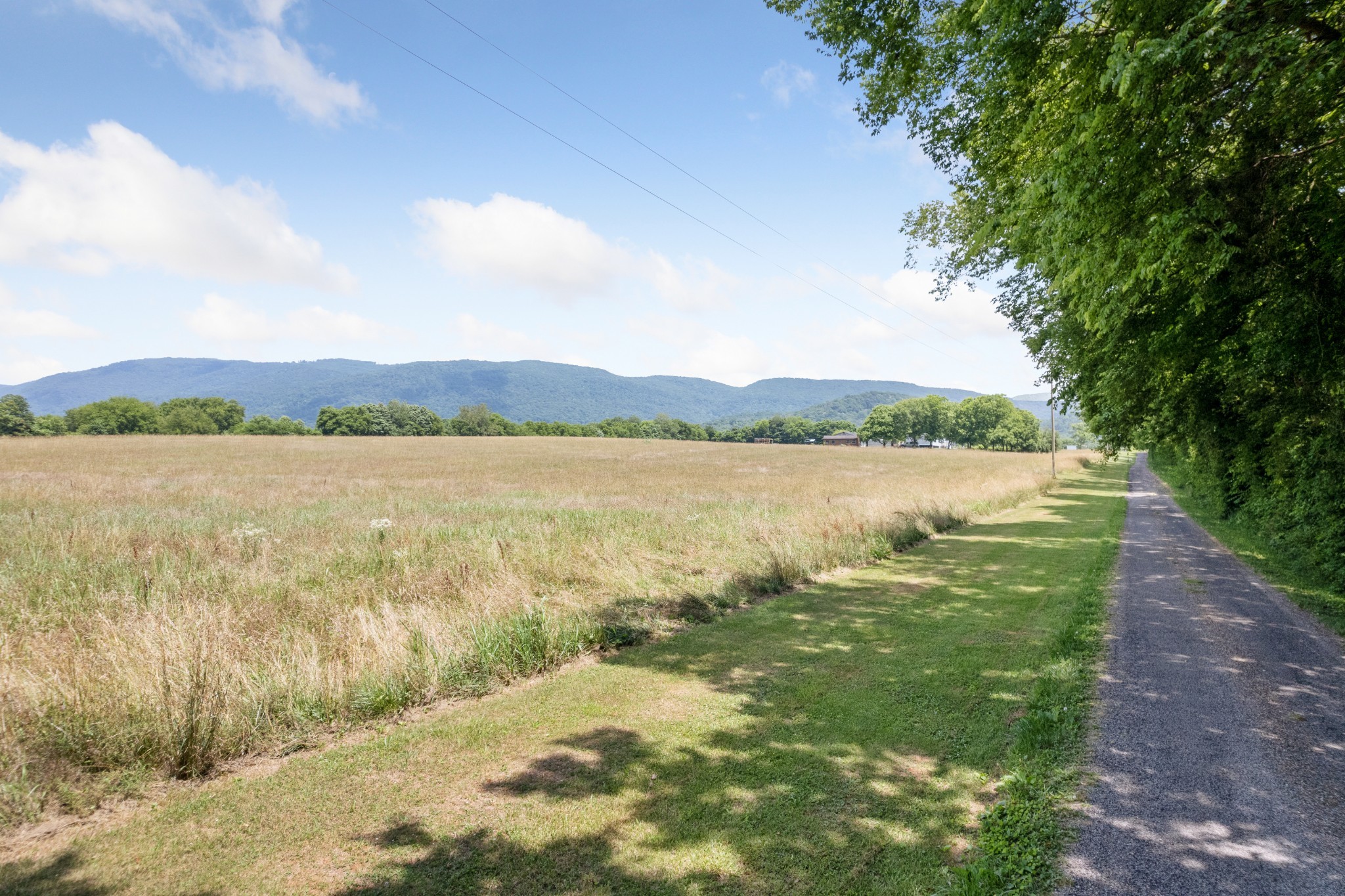 0 Worthington Cemetery Road Pikeville, TN 37367 - Photo 6 of 14 Gallery Image 6
