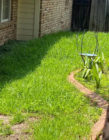 a view of a garden with a chair