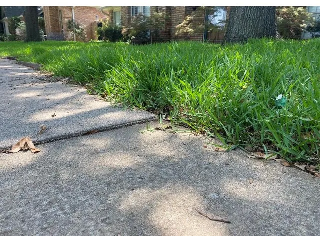 a view of a yard with table and chairs