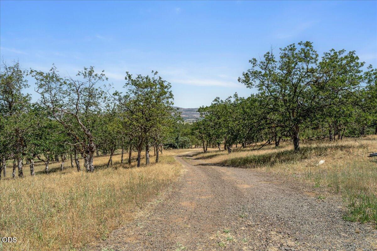1712 Stevens Road Eagle Point, OR 97524 - Photo 49 of 63