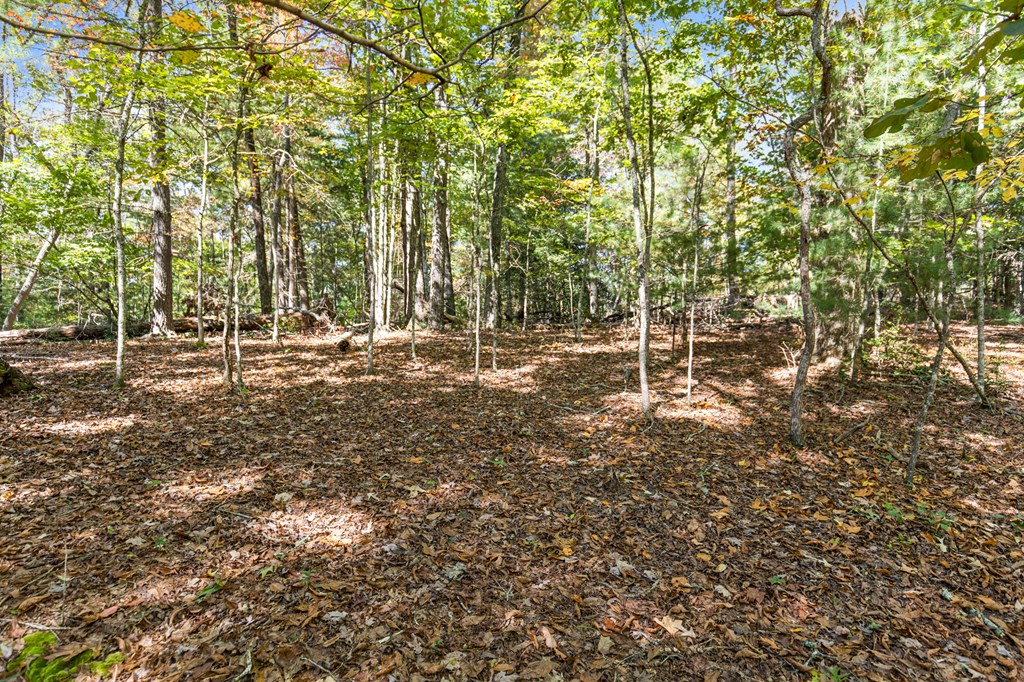 Lot 1-2 Timberlake Estates Blue Ridge, GA 30513 - Photo 5 of 20 Gallery Image 5