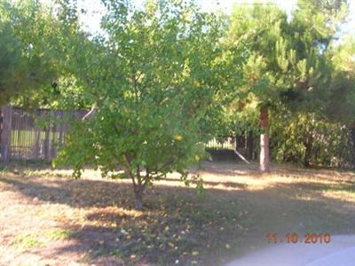 27277 Saunders Road Madera, CA 93637 - Photo 5 of 7 Gallery Image 5