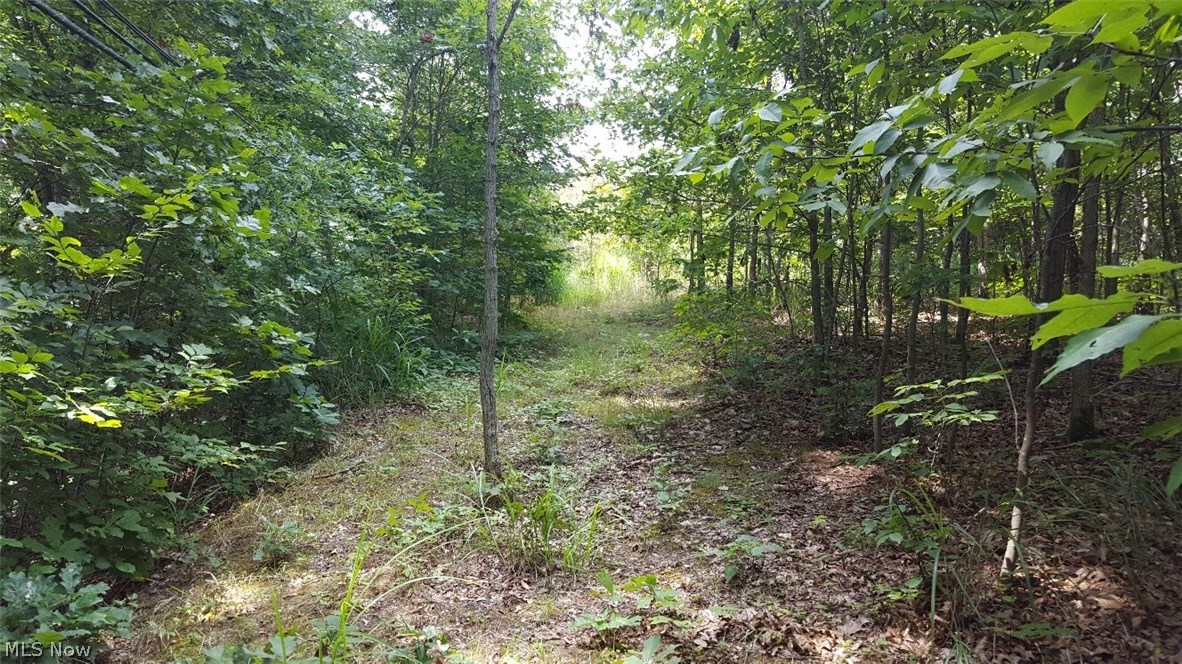 0 North Fork Road New Matamoras, OH 45767 - Photo 14 of 16 Gallery Image 14